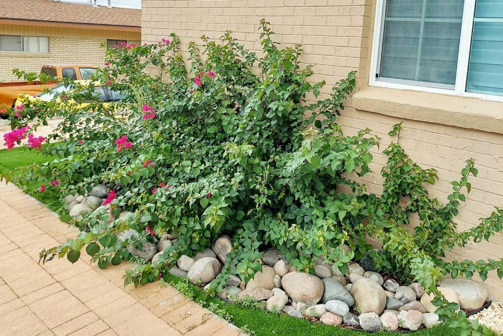 My Cozy Duplex A In The Heart Of West Side Villa El Paso Exterior photo